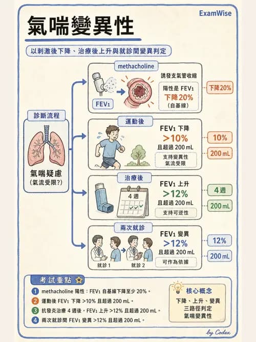 呼吸治療師 - 慢性氣道疾病 - AI 圖文解析預覽