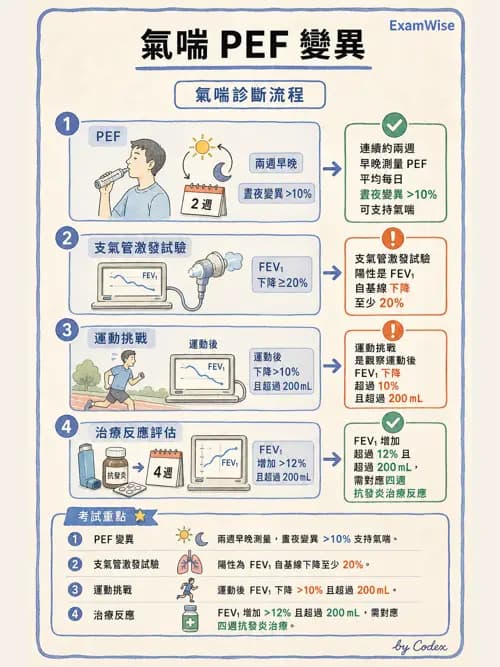 呼吸治療師 - 慢性氣道疾病 - AI 圖文解析預覽