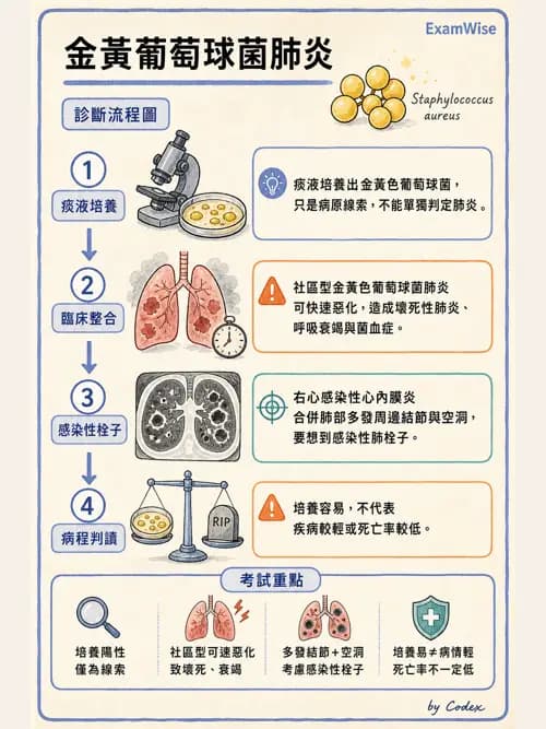 呼吸治療師 - 感染性肺疾 - AI 圖文解析預覽