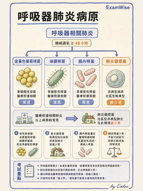 呼吸治療師 - 感染性肺疾 - AI 圖文解析預覽