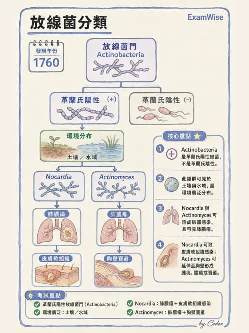 呼吸治療師 - 感染性肺疾 - AI 圖文解析預覽