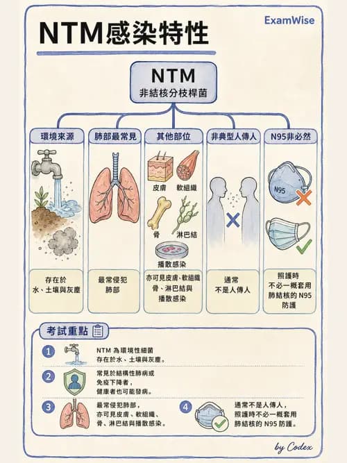 呼吸治療師 - 感染性肺疾 - AI 圖文解析預覽
