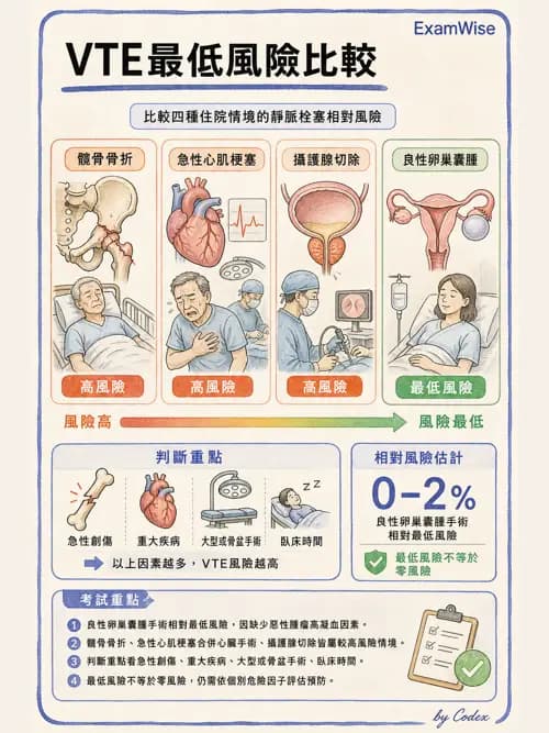 呼吸治療師 - 肺間質病變 - AI 圖文解析預覽