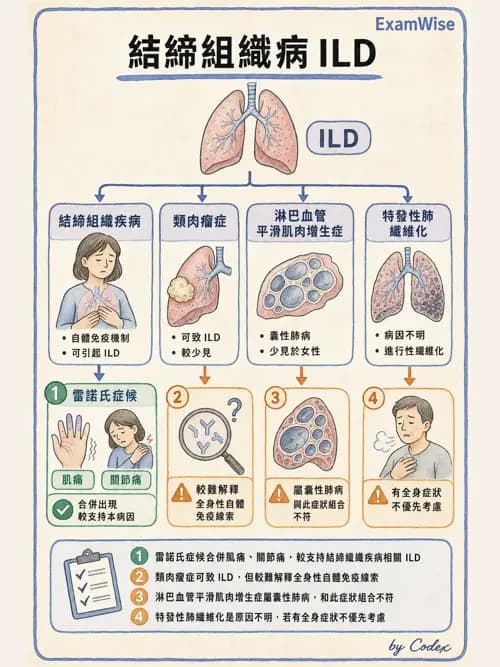 呼吸治療師 - 肺間質病變 - AI 圖文解析預覽