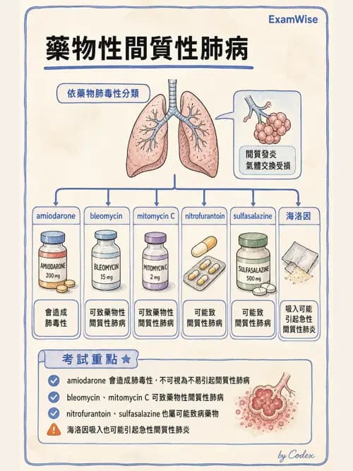 呼吸治療師 - 肺間質病變 - AI 圖文解析預覽