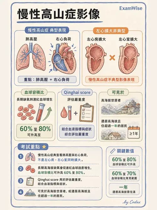呼吸治療師 - 外力傷害與胸廓病變 - AI 圖文解析預覽