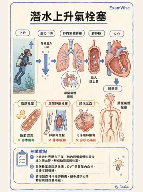 呼吸治療師 - 外力傷害與胸廓病變 - AI 圖文解析預覽