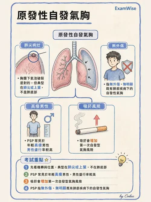呼吸治療師 - 外力傷害與胸廓病變 - AI 圖文解析預覽
