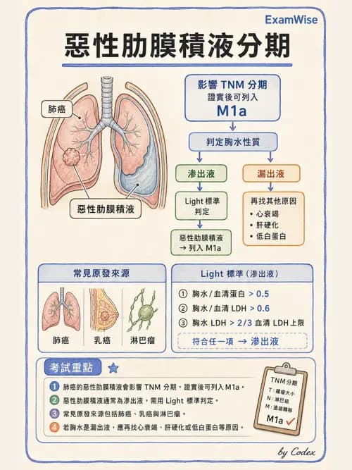 呼吸治療師 - 外力傷害與胸廓病變 - AI 圖文解析預覽