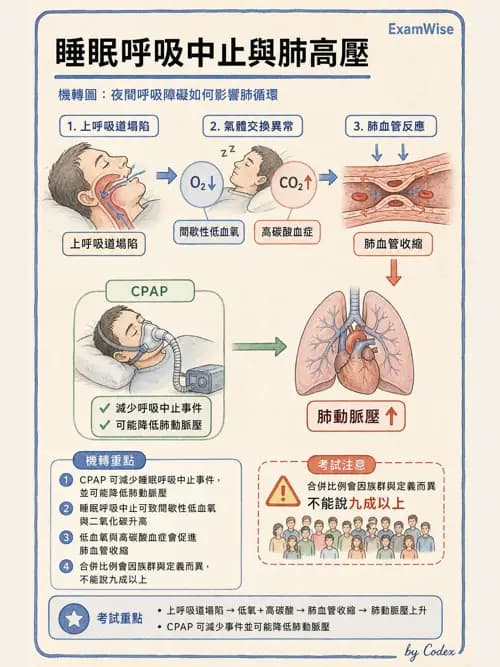 呼吸治療師 - 睡眠相關呼吸障礙 - AI 圖文解析預覽