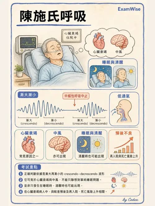 呼吸治療師 - 睡眠相關呼吸障礙 - AI 圖文解析預覽