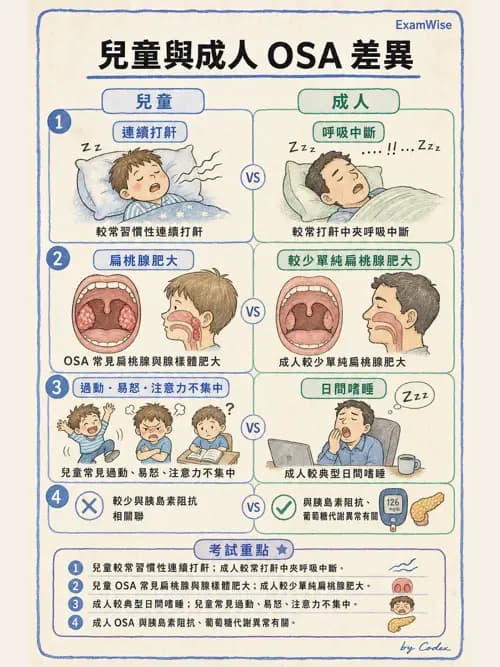呼吸治療師 - 睡眠相關呼吸障礙 - AI 圖文解析預覽