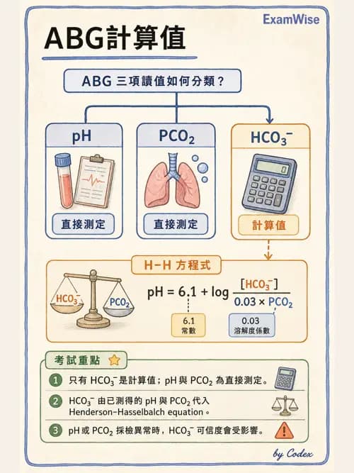 呼吸治療師 - 酸鹼平衡與腎臟生理 - AI 圖文解析預覽