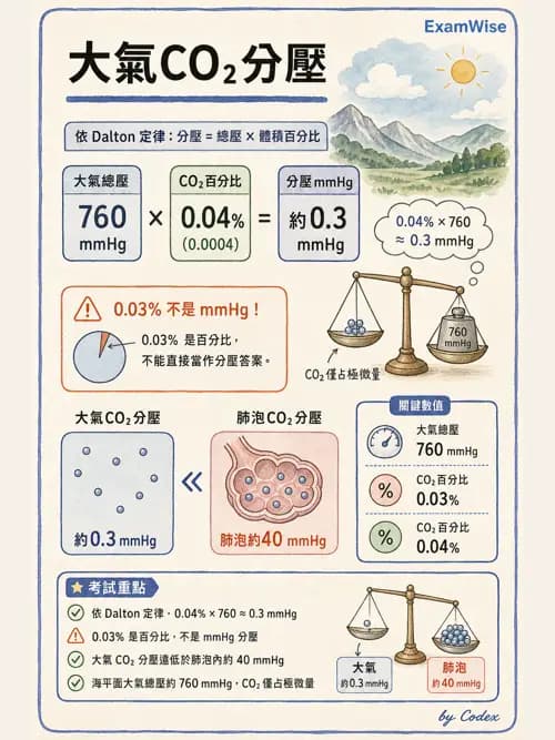 呼吸治療師 - 氣體擴散、交換與肺部代謝 - AI 圖文解析預覽