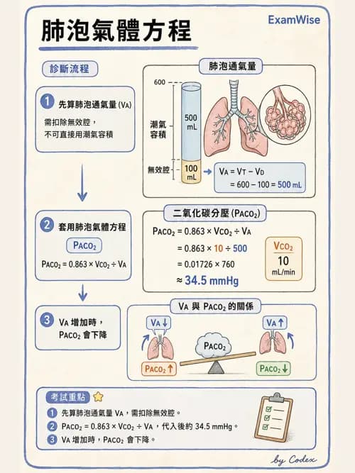 呼吸治療師 - 通氣、呼吸力學與控制 - AI 圖文解析預覽
