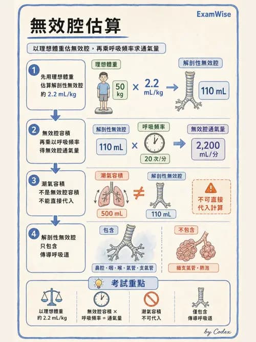 呼吸治療師 - 通氣、呼吸力學與控制 - AI 圖文解析預覽