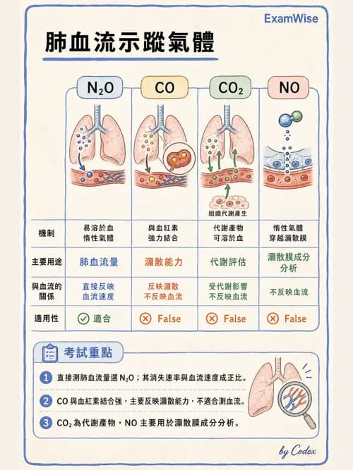呼吸治療師 - 氣體擴散、交換與肺部代謝 - AI 圖文解析預覽