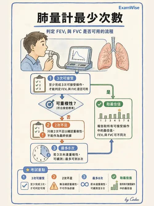 呼吸治療師 - 通氣、呼吸力學與控制 - AI 圖文解析預覽