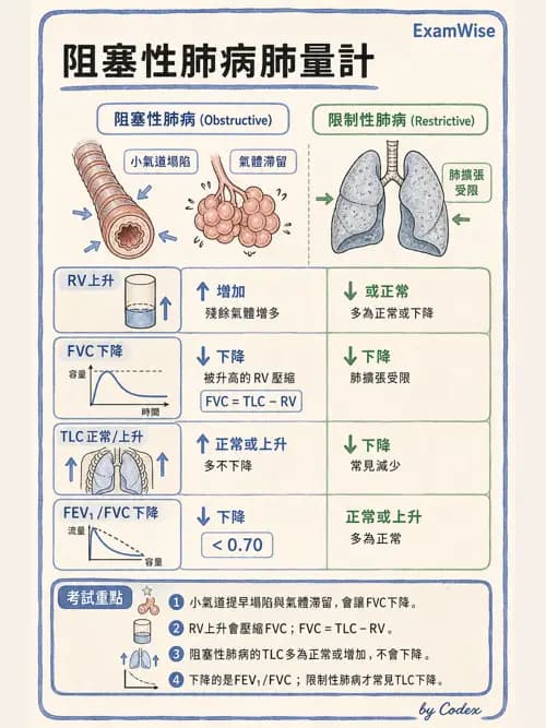 呼吸治療師 - 通氣、呼吸力學與控制 - AI 圖文解析預覽