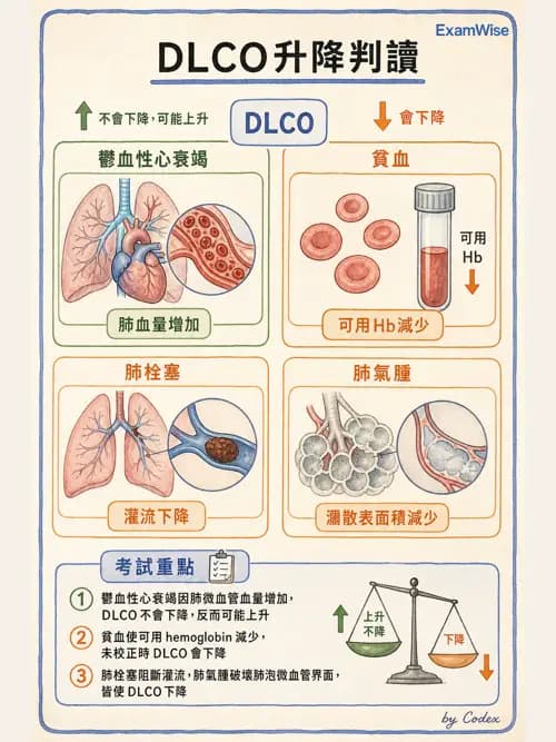 呼吸治療師 - 氣體擴散、交換與肺部代謝 - AI 圖文解析預覽