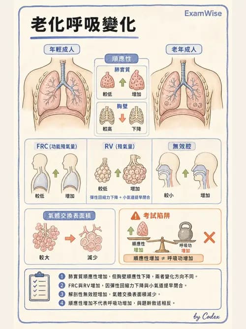呼吸治療師 - 通氣、呼吸力學與控制 - AI 圖文解析預覽