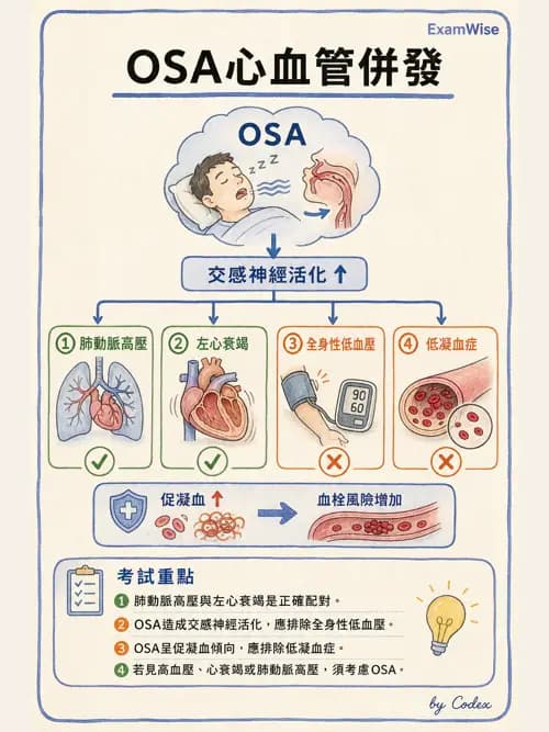 呼吸治療師 - 通氣、呼吸力學與控制 - AI 圖文解析預覽
