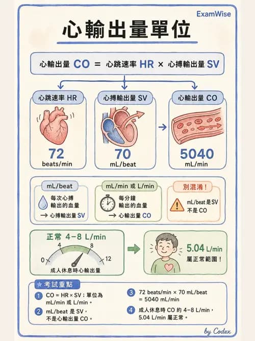 呼吸治療師 - 心臟生理與血液動力學 - AI 圖文解析預覽