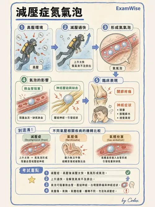 呼吸治療師 - 運動與環境生理 - AI 圖文解析預覽
