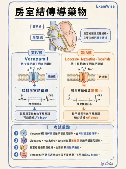 呼吸治療師 - 心臟血管藥物 - AI 圖文解析預覽