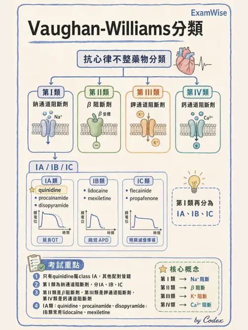 呼吸治療師 - 心臟血管藥物 - AI 圖文解析預覽