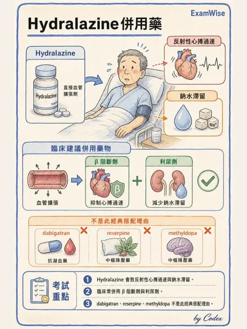 呼吸治療師 - 心臟血管藥物 - AI 圖文解析預覽