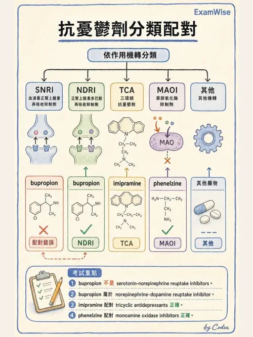 呼吸治療師 - 神經系統藥物 - AI 圖文解析預覽