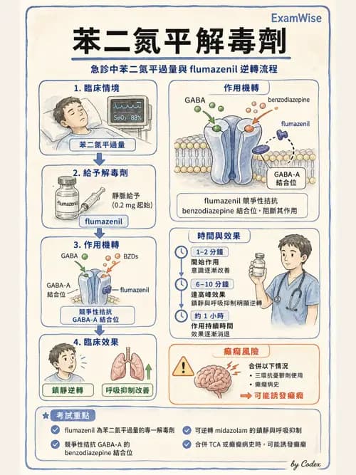呼吸治療師 - 神經系統藥物 - AI 圖文解析預覽