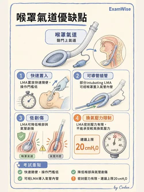 呼吸治療師 - 人工氣道處置 - AI 圖文解析預覽