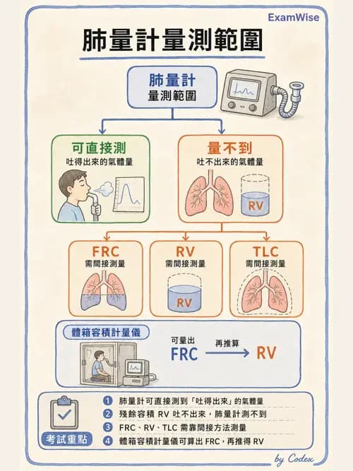 呼吸治療師 - 呼吸功能檢查 - AI 圖文解析預覽