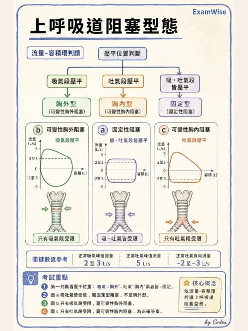 呼吸治療師 - 呼吸功能檢查 - AI 圖文解析預覽