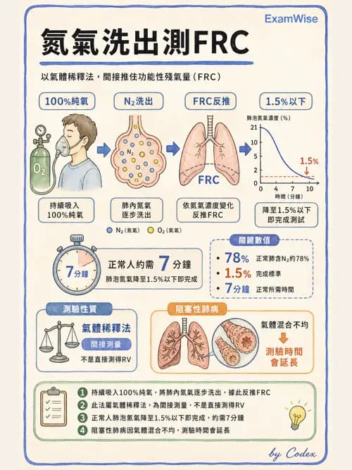 呼吸治療師 - 呼吸功能檢查 - AI 圖文解析預覽