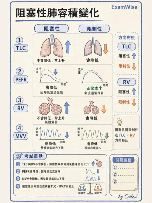 呼吸治療師 - 呼吸功能檢查 - AI 圖文解析預覽