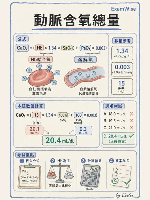 呼吸治療師 - 動脈血液氣體分析與氧合評估 - AI 圖文解析預覽
