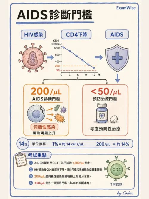 呼吸治療師 - 心血管評估與實驗室檢查 - AI 圖文解析預覽