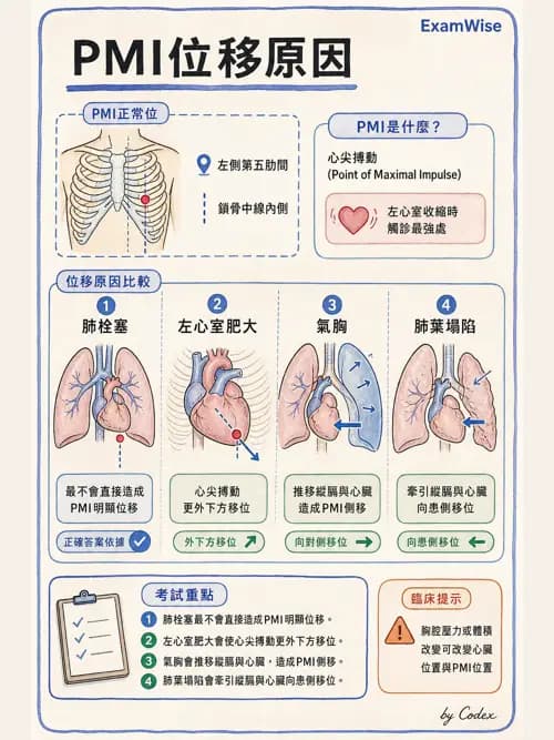 呼吸治療師 - 呼吸治療臨床作業與身體評估 - AI 圖文解析預覽