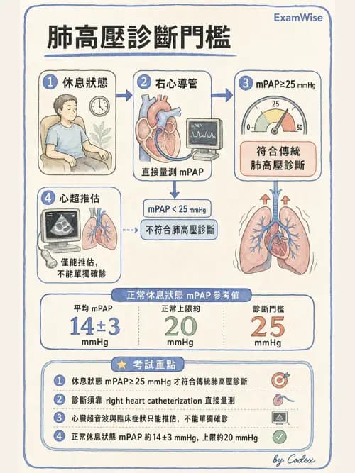 呼吸治療師 - 心血管評估與實驗室檢查 - AI 圖文解析預覽