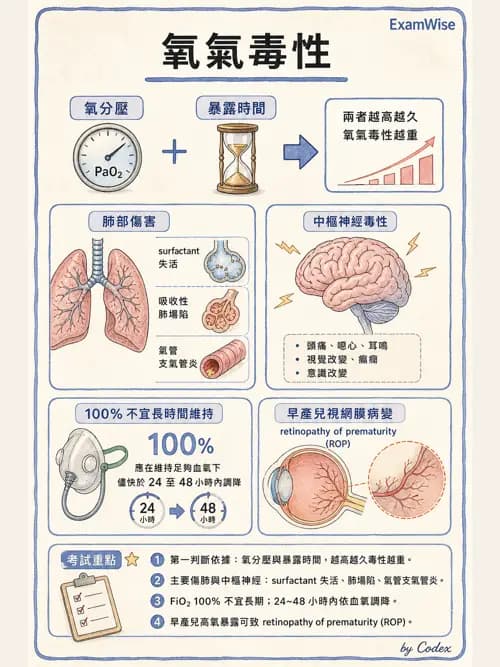 呼吸治療師 - 氣體輸送系統與氧氣治療 - AI 圖文解析預覽