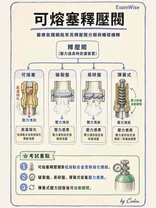 呼吸治療師 - 氣體輸送系統與氧氣治療 - AI 圖文解析預覽