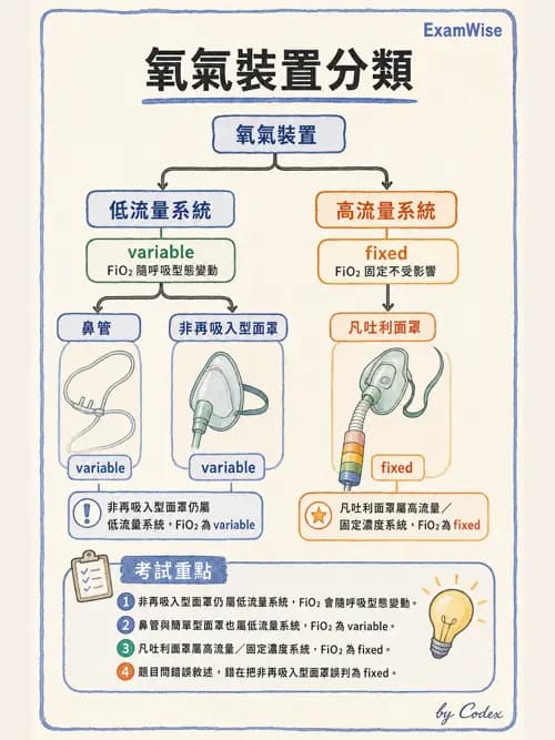 呼吸治療師 - 氣體輸送系統與氧氣治療 - AI 圖文解析預覽