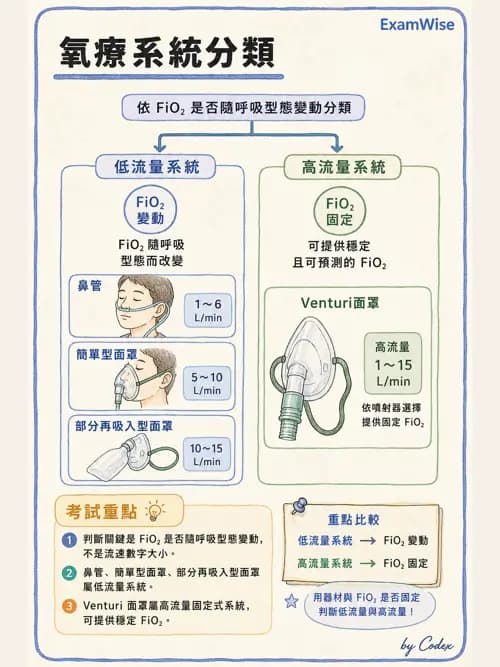 呼吸治療師 - 氣體輸送系統與氧氣治療 - AI 圖文解析預覽