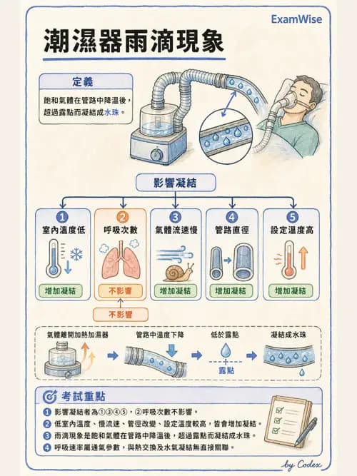 呼吸治療師 - 濕氣與霧氣治療 - AI 圖文解析預覽