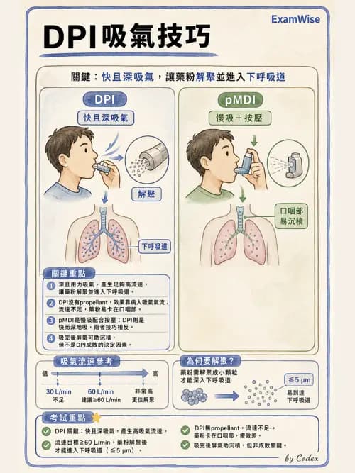 呼吸治療師 - 濕氣與霧氣治療 - AI 圖文解析預覽