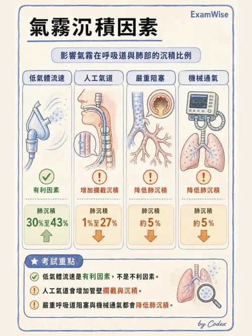 呼吸治療師 - 濕氣與霧氣治療 - AI 圖文解析預覽