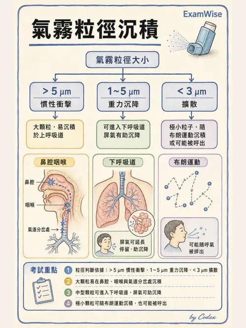 呼吸治療師 - 濕氣與霧氣治療 - AI 圖文解析預覽